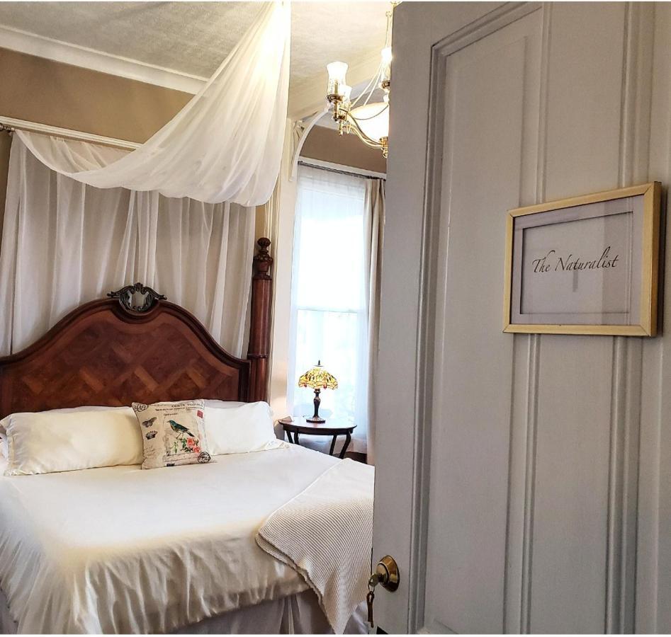 South Court Inn Luray Esterno foto